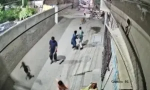 Chủ nuôi sư tử bị bắt sau vụ thú cưng tấn công người ở Pakistan Chủ nuôi sư tử bị bắt sau vụ thú cưng tấn công người ở Pakistan
