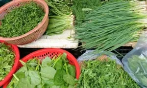 Hành lá, rau gia vị đắt hơn nhiều loại thịt